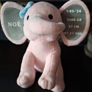 Geboorte Olifant!